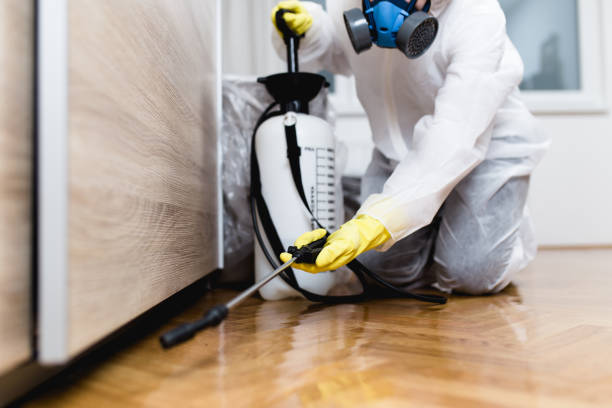 Best Exterminator Services  in Mercer, PA
