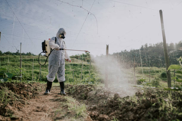 Best Affordable Pest Control Services  in Mercer, PA