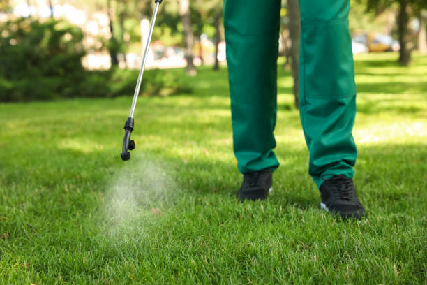 Reliable Mercer, PA Pest Control Solutions