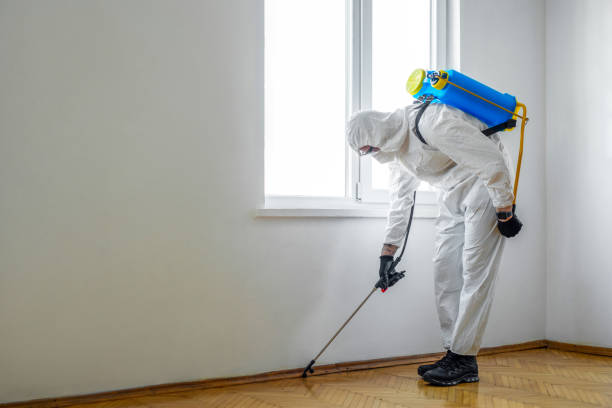 Best Ant Control Services  in Mercer, PA
