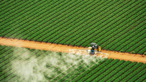 Best Pest Control for Businesses  in Mercer, PA
