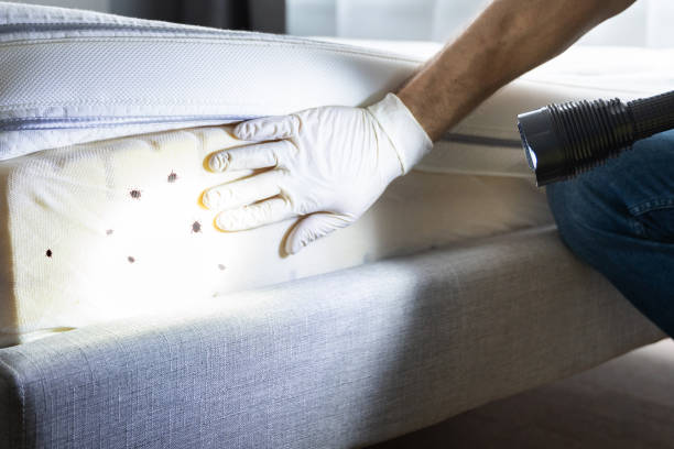 Best Pest Inspection Near Me  in Mercer, PA