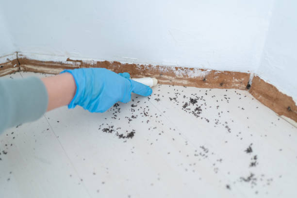 Best Wildlife Control Services  in Mercer, PA